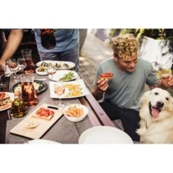 Campingaz Attitude 2100 EX, Gasgrill -Deutschland BBQ Meister Verkaufs-Shop Campingaz Attitude 2100 EX Gasgrill@@1crcm00w 17