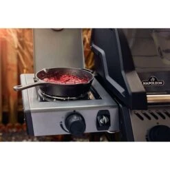 Napoleon Gasgrill Freestyle 365 SB Graphit, Mit Seitenbrenner -Deutschland BBQ Meister Verkaufs-Shop Napoleon Gasgrill Freestyle 365 SB Graphit mit Seitenbrenner@@1680027 18