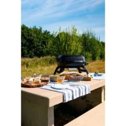 Napoleon Gasgrill TRAVELQ 240 -Deutschland BBQ Meister Verkaufs-Shop Napoleon Gasgrill TRAVELQ 240@@1872821 12