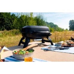 Napoleon Gasgrill TRAVELQ 240 -Deutschland BBQ Meister Verkaufs-Shop Napoleon Gasgrill TRAVELQ 240@@1872821 13