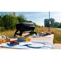 Napoleon Gasgrill TRAVELQ 240 -Deutschland BBQ Meister Verkaufs-Shop Napoleon Gasgrill TRAVELQ 240@@1872821 14