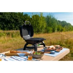Napoleon Gasgrill TRAVELQ 240 -Deutschland BBQ Meister Verkaufs-Shop Napoleon Gasgrill TRAVELQ 240@@1872821 16