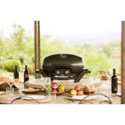 Napoleon Gasgrill TravelQ PRO285 -Deutschland BBQ Meister Verkaufs-Shop Napoleon Gasgrill TravelQ PRO285@@9ggfen0o 13