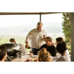 Napoleon Gasgrill TravelQ PRO285 -Deutschland BBQ Meister Verkaufs-Shop Napoleon Gasgrill TravelQ PRO285@@9ggfen0o 14