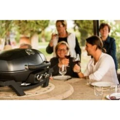 Napoleon Gasgrill TravelQ PRO285 -Deutschland BBQ Meister Verkaufs-Shop Napoleon Gasgrill TravelQ PRO285@@9ggfen0o 15