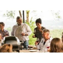 Napoleon Gasgrill TravelQ PRO285 -Deutschland BBQ Meister Verkaufs-Shop Napoleon Gasgrill TravelQ PRO285@@9ggfen0o 16