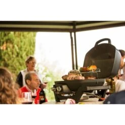Napoleon Gasgrill TravelQ PRO285 -Deutschland BBQ Meister Verkaufs-Shop Napoleon Gasgrill TravelQ PRO285@@9ggfen0o 17