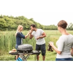 Napoleon Gasgrill TravelQ PRO285X Mit Klappwagen -Deutschland BBQ Meister Verkaufs-Shop Napoleon Gasgrill TravelQ PRO285X mit Klappwagen@@9ggfen0n 9