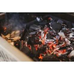 Napoleon Gusseisen Holzkohleeinsatz & Räuchervorrichtung, Grillkorb -Deutschland BBQ Meister Verkaufs-Shop Napoleon Gusseisen Holzkohleeinsatz R uchervorrichtung Grillkorb@@9ggezn0r 6