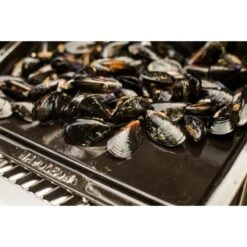 Napoleon Gusseisen-Plancha, Grillplatte 15 Napoleon Gusseisen-Plancha, Grillplatte -Deutschland BBQ Meister Verkaufs-Shop Napoleon Gusseisen Plancha Grillplatte@@9ggzzn0s 6