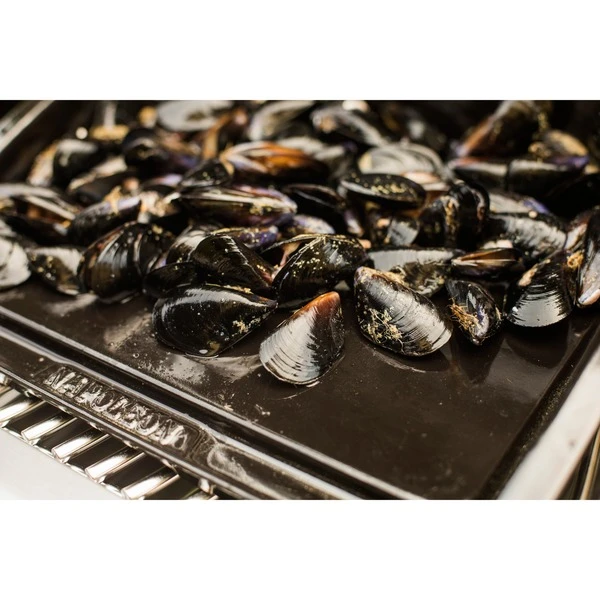 Napoleon Gusseisen-Plancha, Grillplatte 7 Napoleon Gusseisen-Plancha, Grillplatte – Bild 7