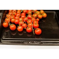 Napoleon Gusseisen-Plancha, Grillplatte 16 Napoleon Gusseisen-Plancha, Grillplatte -Deutschland BBQ Meister Verkaufs-Shop Napoleon Gusseisen Plancha Grillplatte@@9ggzzn0s 7