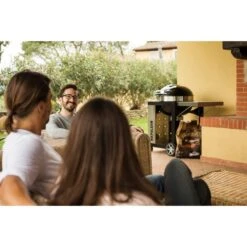 Napoleon Holzkohlegrill PRO22K, Im Rollwagen -Deutschland BBQ Meister Verkaufs-Shop Napoleon Holzkohlegrill PRO22K im Rollwagen@@9ggffn01 16