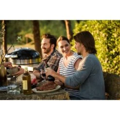 Napoleon Holzkohlegrill PRO22K, Im Rollwagen -Deutschland BBQ Meister Verkaufs-Shop Napoleon Holzkohlegrill PRO22K im Rollwagen@@9ggffn01 19