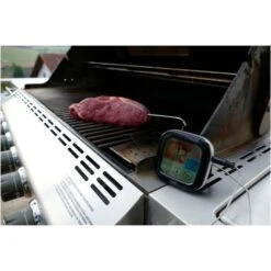 TFA Digitales Grill-Bratenthermometer 14.1509 -Deutschland BBQ Meister Verkaufs-Shop TFA Digitales Grill Bratenthermometer 14 1509@@1914083 2