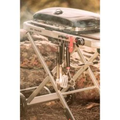 Weber Gasgrill Traveler Black -Deutschland BBQ Meister Verkaufs-Shop Weber Gasgrill Traveler Black@@1694181 17