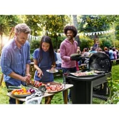Weber Holzkohlegrill Performer Premium GBS Edition -Deutschland BBQ Meister Verkaufs-Shop Weber Holzkohlegrill Performer Premium GBS Edition@@1805697 18