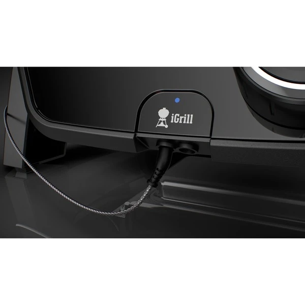 Weber Kontrolleinheit Für Pulse 1000, Ersatzteil 2 Weber Kontrolleinheit Für Pulse 1000, Ersatzteil – Bild 2