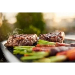 Weber Lumin Elektrogrill -Deutschland BBQ Meister Verkaufs-Shop Weber Lumin Elektrogrill@@1875480 10