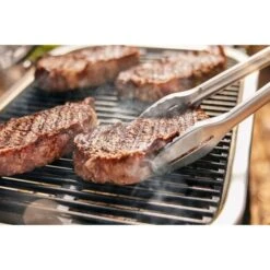 Weber Lumin Elektrogrill -Deutschland BBQ Meister Verkaufs-Shop Weber Lumin Elektrogrill@@1875480 9