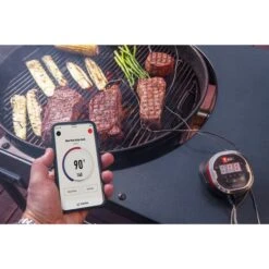 Weber IGrill 2 Mit Zwei Messfühlern 7221, Thermometer -Deutschland BBQ Meister Verkaufs-Shop Weber iGrill 2 mit zwei Messf hlern 7221 Thermometer@@1303166 10