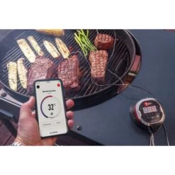 Weber IGrill 2 Mit Zwei Messfühlern 7221, Thermometer -Deutschland BBQ Meister Verkaufs-Shop Weber iGrill 2 mit zwei Messf hlern 7221 Thermometer@@1303166 12