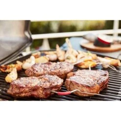 Weber IGrill Pro Messfühler Für Grillgut, Thermometer -Deutschland BBQ Meister Verkaufs-Shop Weber iGrill Pro Messf hler f r Grillgut Thermometer@@1303168 13