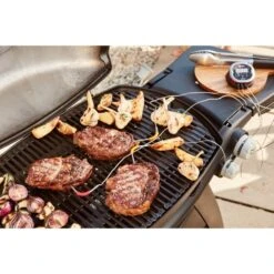 Weber IGrill Pro Messfühler Für Grillgut, Thermometer -Deutschland BBQ Meister Verkaufs-Shop Weber iGrill Pro Messf hler f r Grillgut Thermometer@@1303168 14