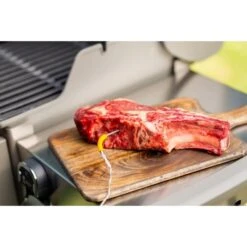 Weber IGrill Pro Messfühler Für Grillgut, Thermometer -Deutschland BBQ Meister Verkaufs-Shop Weber iGrill Pro Messf hler f r Grillgut Thermometer@@1303168 8
